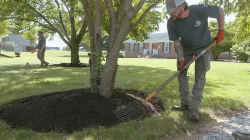 Leaf removal.