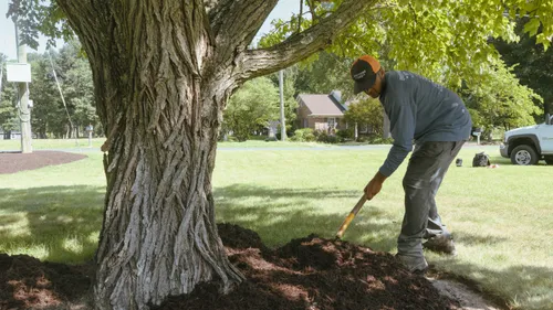 Mulching and Decorative Landscaping Stone.